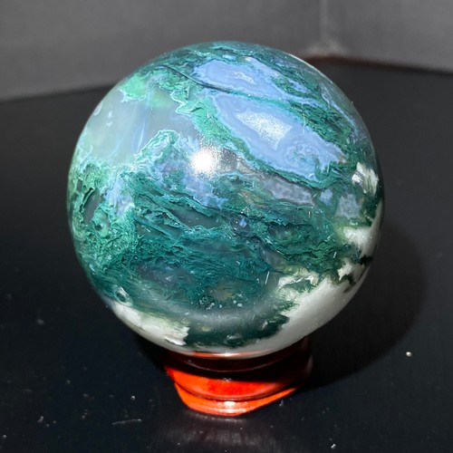 254g rare piante acquatiche - piante,